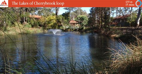 Cherrybrook Weather